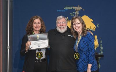Accessing Potential in Innovative Ways: STEM in Special Education